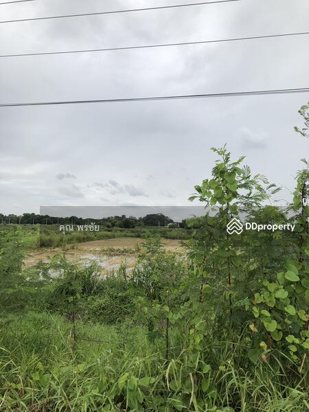 ขายที่นาติดถนน ป่าโมกข์ อ่างทอง, Ang Thong, Unnamed Road, Bang Sadet, Pa Mok, Ang Thong, , 1,976 sqm, Land For Sale, by คุณ พรชัย, 6835579 - DDproperty.com