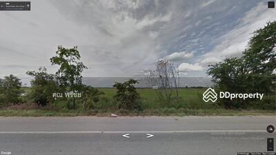 ขาย - ขายที่นาติดถนน ป่าโมกข์ อ่างทอง, อ่างทอง