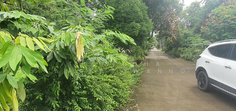 For Sale - Detached house, 367 square wah, Euasuk Village, Phatthanakan Road 58, Bangkok