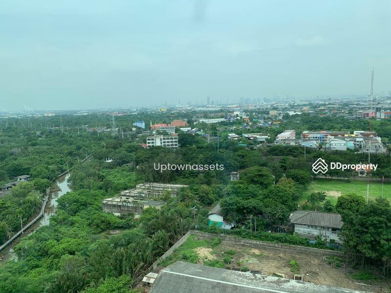 Aspire Erawan, Samut Prakan, Sukhumvit, Pak Nam, Muang Samut Prakarn, Samut Prakan, 2 Bedrooms, 35 sqm, Condo For Rent, by Amwika Karoonsombat, 6921731 - DDproperty.com