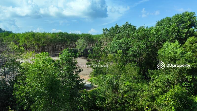 Zcape 3, Phuket, Thep Krasattri Road, Wichit, Muang Phuket, Phuket, Studio, 28 sqm, Condo For Rent, by Pattaratorn Sornin, 6941940 - DDproperty.com