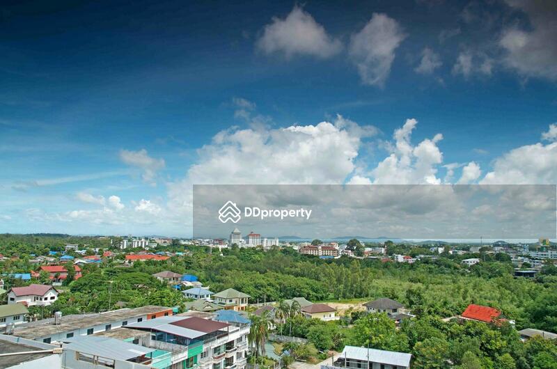 วิว เห็นต้นไม้เขียวสบายตา