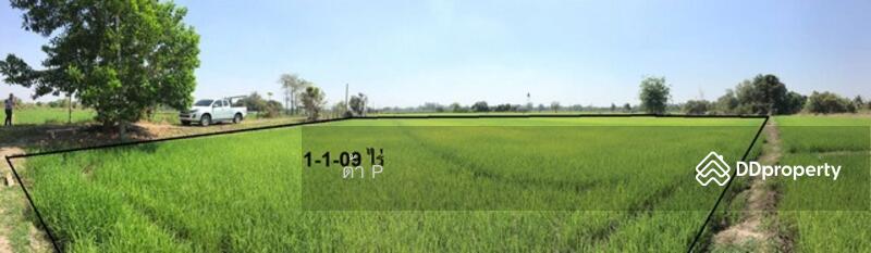 ขาย - ที่ดินเปล่า ลำพูน ป่าซาง ถนน1033, ลำพูน