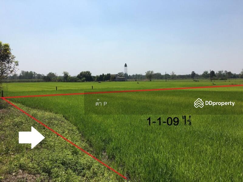 For Sale - Land Lamphun, 1033-Lamphun-Pasang road., Lamphun