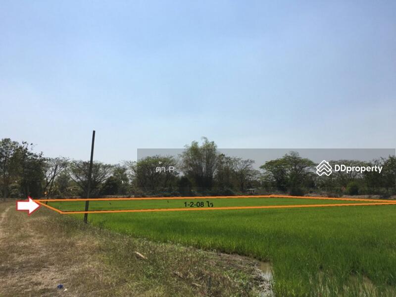 For Sale - Land Lamphun, 1033-Lamphun-Pasang road., Lamphun