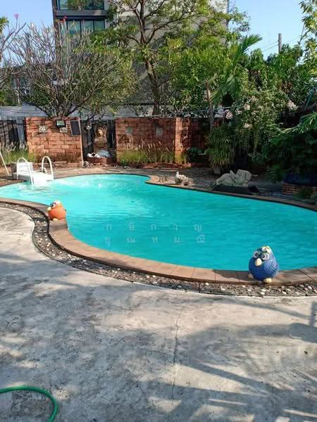 Sale Land 2 Rai at Rarm Intra 14 Road, bangkok, มัยลาภ, Chorake Bua, Lat Phrao, Bangkok, , 3,944 sqm, Land For Sale, by กษิกาญ ชุณหมณี, 7046162 - DDproperty.com