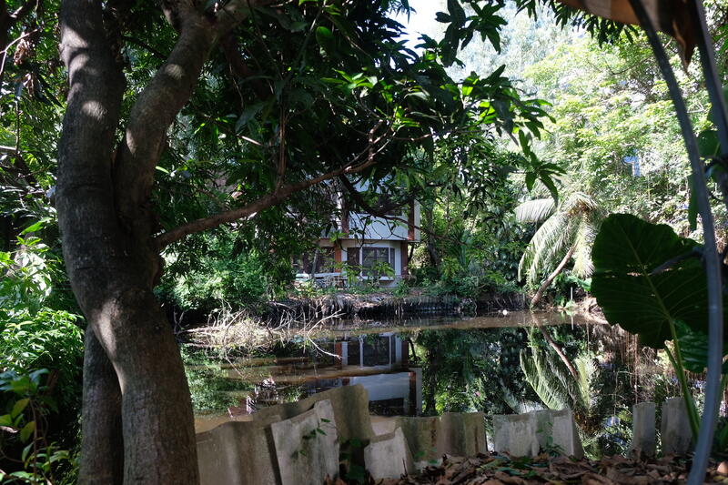 Land and houses for sale at Soi Sukhumvit 66/1,near BTS Udomsuk, Bangkok, 248-248/2 ซอย สรรพาวุธ 2, Bang Na, Bang Na, Bangkok, 7 Bedrooms, 450 sqm, Single Detached House For Sale, by วิวัฒน์ เวชพงศา, 7147117 - DDproperty.com