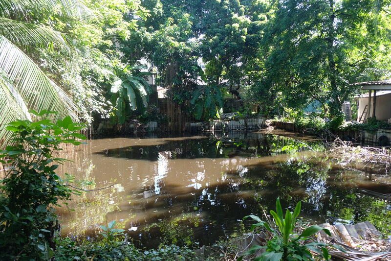 Land and houses for sale at Soi Sukhumvit 66/1,near BTS Udomsuk, Bangkok, 248-248/2 ซอย สรรพาวุธ 2, Bang Na, Bang Na, Bangkok, 7 Bedrooms, 450 sqm, Single Detached House For Sale, by วิวัฒน์ เวชพงศา, 7147117 - DDproperty.com