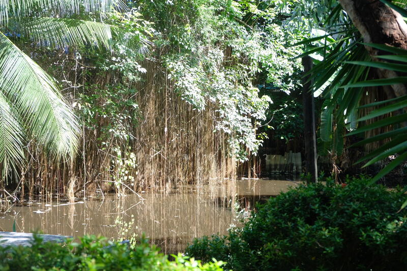 ขาย ที่ดินแปลงสวย ต้น ซ.สุขุมวิท66/1, BTS อุดมสุข เนื้อที่ 706ตรว., กรุงเทพ, 248-248/2 ซอย สรรพาวุธ 2, บางนา, บางนา, กรุงเทพ, 450 ตร.ม., บ้านเดี่ยว ขาย, โดย วิวัฒน์ เวชพงศา, 7147117 - DDproperty.com