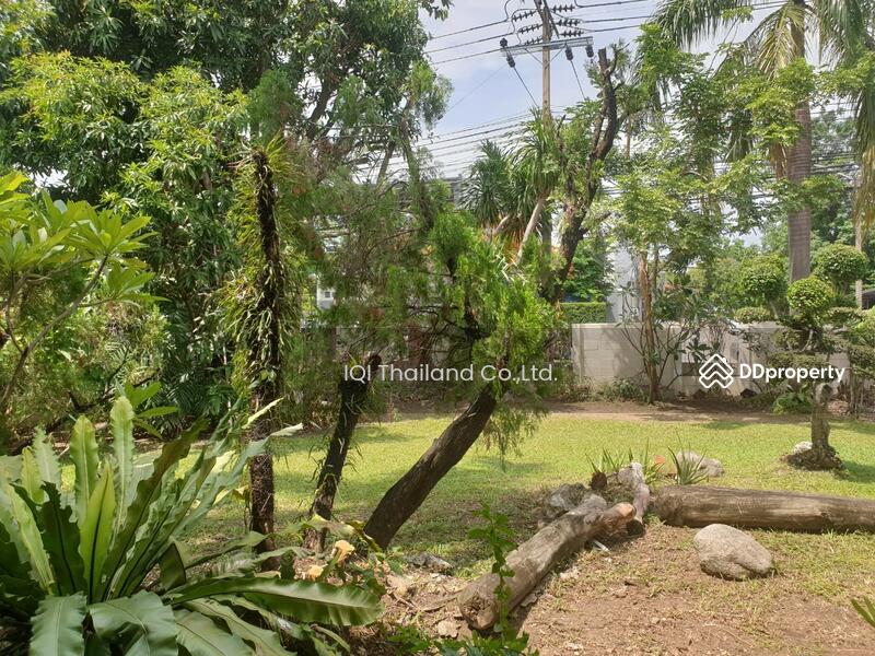 หมู่บ้านปัญญา พัฒนาการ30, กรุงเทพ, 703 Phatthanakan 30 Alley, สวนหลวง, สวนหลวง, กรุงเทพ, 800 ตร.ม., บ้านเดี่ยว ขาย, โดย Rachen Nopsuwan, 7167074 - DDproperty.com