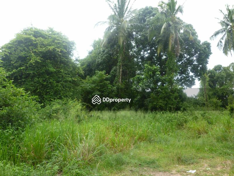 ขายที่ดินสวยริมชายหาดบางเสร่5-3-22ไร่ๆละ80ล้านบาท ค่าธรรมเนียมการโอนและภาษีจ่ายฝ่ายละ 50% อ.สัตหีบ, ชลบุรี, 56 นาจอมเทียน, บางเสร่, สัตหีบ, ชลบุรี, 9,288 ตร.ม., ที่ดิน ขาย, โดย สุรศักดิ์ สาโท, 717590 - DDproperty.com