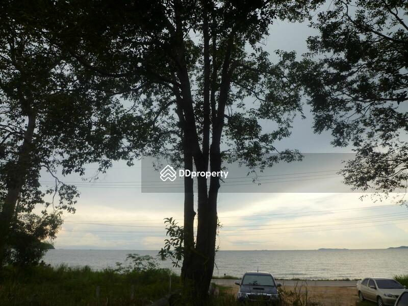 ขายที่ดินสวยริมชายหาดบางเสร่5-3-22ไร่ๆละ80ล้านบาท ค่าธรรมเนียมการโอนและภาษีจ่ายฝ่ายละ 50% อ.สัตหีบ, ชลบุรี, 56 นาจอมเทียน, บางเสร่, สัตหีบ, ชลบุรี, 9,288 ตร.ม., ที่ดิน ขาย, โดย สุรศักดิ์ สาโท, 717590 - DDproperty.com