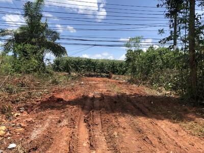 ขาย - ที่ดินท่าโรงช้าง อ.พุนพิน จ.สุราษฎร์ธานี, สุราษฎร์ธานี