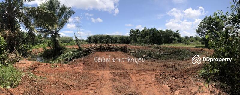 For Sale - Land at Tarongchang Punpin Surattani, Surat Thani