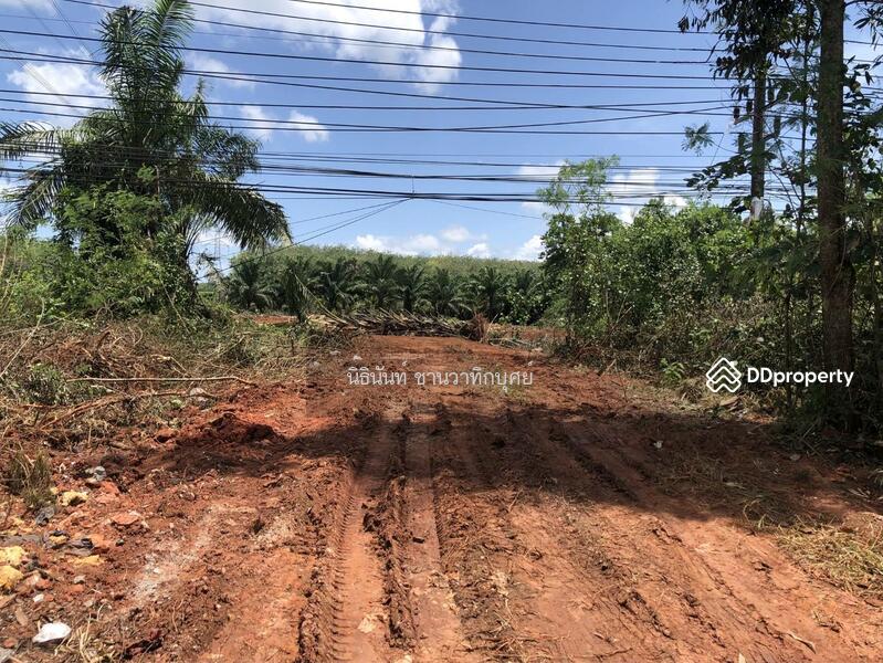 For Sale - Land at Tarongchang Punpin Surattani, Surat Thani