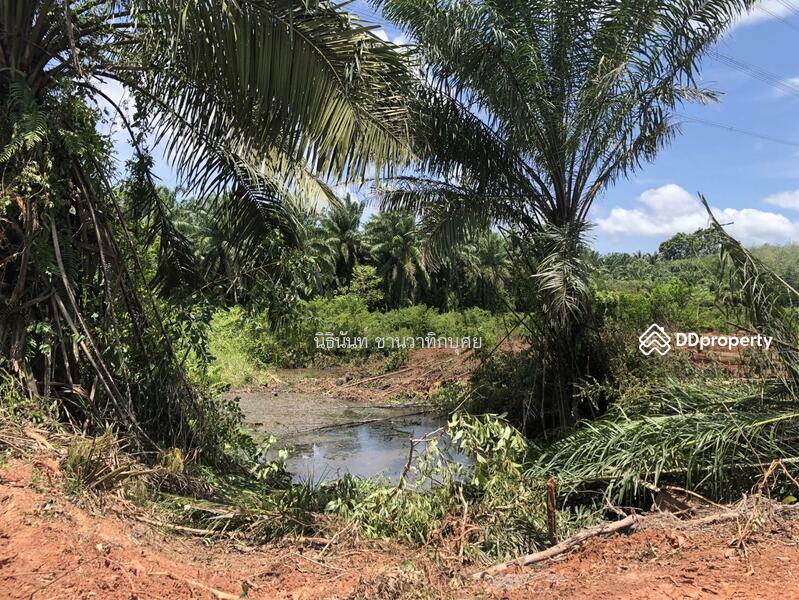 For Sale - Land at Tarongchang Punpin Surattani, Surat Thani