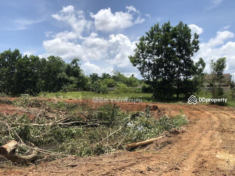 For Sale - Land at Tarongchang Punpin Surattani, Surat Thani