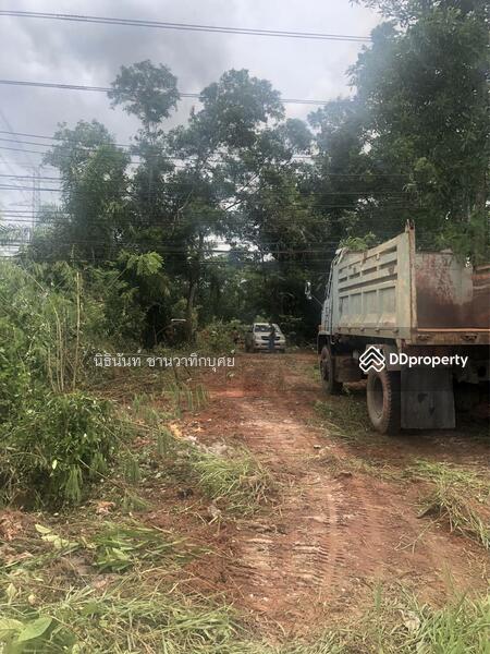 For Sale - Land at Tarongchang Punpin Surattani, Surat Thani