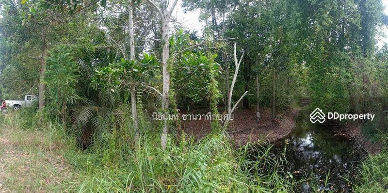 For Sale - Land at Tarongchang Punpin Surattani, Surat Thani