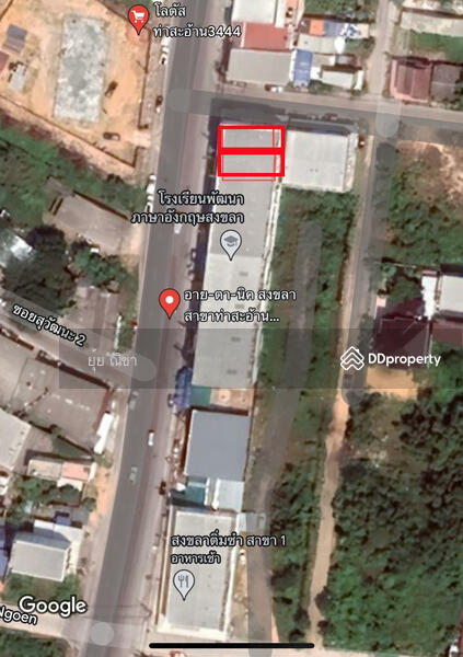 อาคารพาณิชย์สงขลา อาคารพาณิชย์สงขลา, สงขลา, 172/186-187 ท่าสะอ้าน, เขารูปช้าง, เมืองสงขลา, สงขลา, 236 ตร.ม., ตึกแถว-อาคารพาณิชย์ ขาย, โดย ณิชากร คงวัดใหม่, 7295801 - DDproperty.com