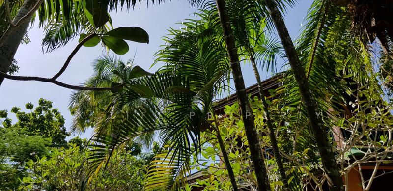 8R0039 This pool villa 4 bedroom 3 bathroom 95,000/month at Chalong have fully furnished, Phuket, บางแร่, Chalong, Muang Phuket, Phuket, 4 Bedrooms, 390 sqm, Single Detached House For Rent, by PK LIFE Property, 7325429 - DDproperty.com