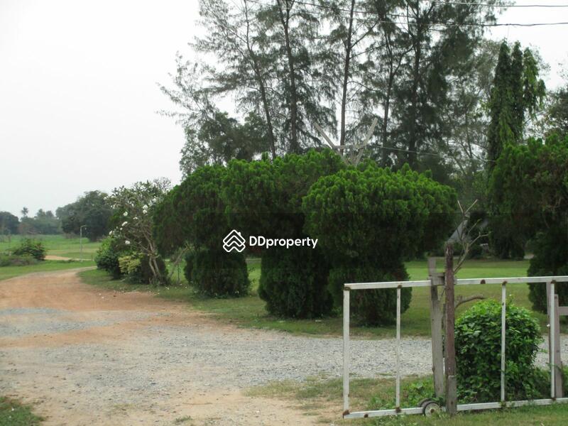 88 rais descending on elevated water front property with panoramic sea views on Sukhumvit Road 65MB, Chon Buri (Pattaya), สุขุมวิท, Na Chom Thian, Sattahip, Chon Buri (Pattaya), , 142,186 sqm, Land For Sale, by Surasak Satho, 732632 - DDproperty.com