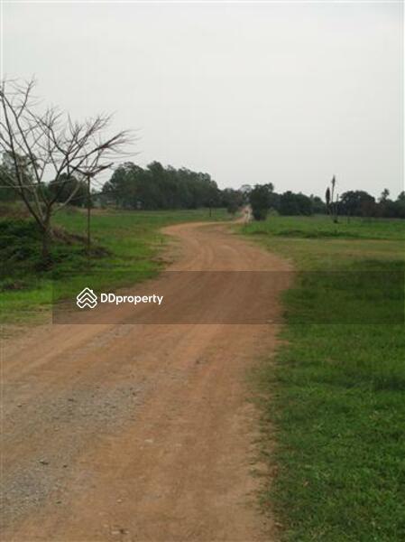 88 rais descending on elevated water front property with panoramic sea views on Sukhumvit Road 65MB, Chon Buri (Pattaya), สุขุมวิท, Na Chom Thian, Sattahip, Chon Buri (Pattaya), , 142,186 sqm, Land For Sale, by Surasak Satho, 732632 - DDproperty.com