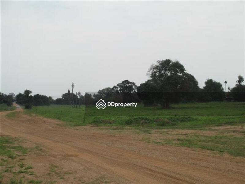 88 rais descending on elevated water front property with panoramic sea views on Sukhumvit Road 65MB, Chon Buri (Pattaya), สุขุมวิท, Na Chom Thian, Sattahip, Chon Buri (Pattaya), , 142,186 sqm, Land For Sale, by Surasak Satho, 732632 - DDproperty.com