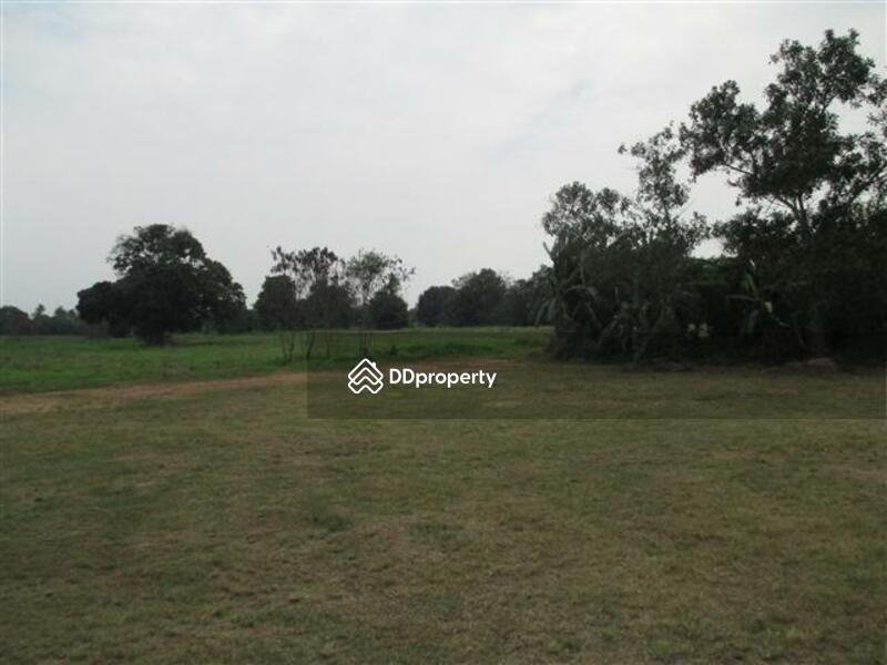 88 rais descending on elevated water front property with panoramic sea views on Sukhumvit Road 65MB, Chon Buri (Pattaya), สุขุมวิท, Na Chom Thian, Sattahip, Chon Buri (Pattaya), , 142,186 sqm, Land For Sale, by Surasak Satho, 732632 - DDproperty.com