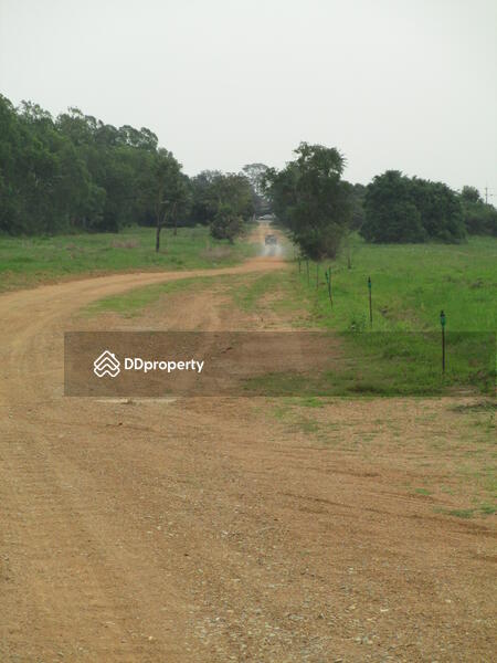 88 rais descending on elevated water front property with panoramic sea views on Sukhumvit Road 65MB, Chon Buri (Pattaya), สุขุมวิท, Na Chom Thian, Sattahip, Chon Buri (Pattaya), , 142,186 sqm, Land For Sale, by Surasak Satho, 732632 - DDproperty.com