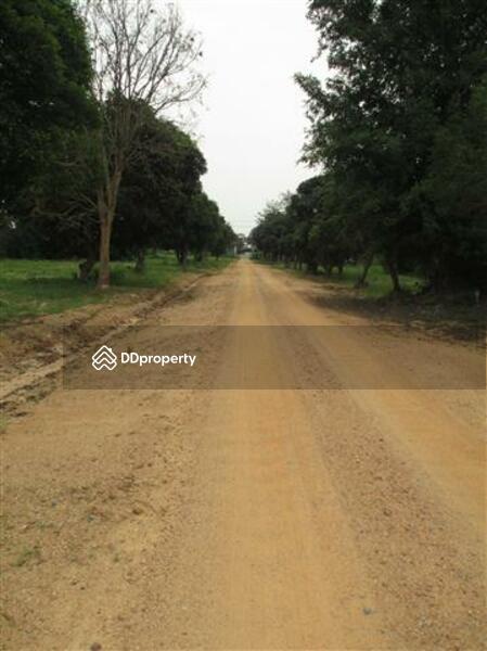 88 rais descending on elevated water front property with panoramic sea views on Sukhumvit Road 65MB, Chon Buri (Pattaya), สุขุมวิท, Na Chom Thian, Sattahip, Chon Buri (Pattaya), , 142,186 sqm, Land For Sale, by Surasak Satho, 732632 - DDproperty.com