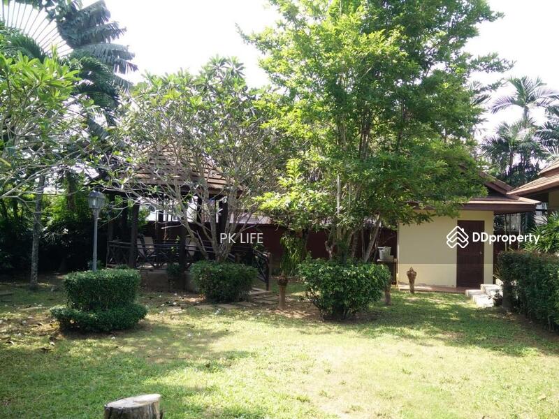 12R0017 Pool villa 2bedroom 2bathroom 35,000/month at thalang have fully furnished, ภูเก็ต, ศรีสุนทร, ถลาง, ภูเก็ต, 159 ตร.ม., บ้านเดี่ยว ให้เช่า, โดย PK LIFE Property, 7329677 - DDproperty.com