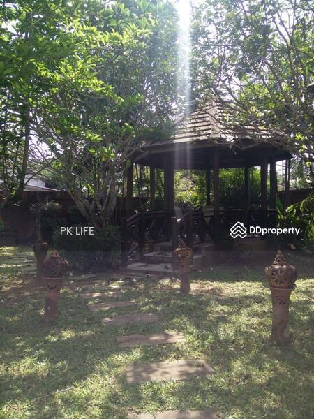 12R0017 Pool villa 2bedroom 2bathroom 35,000/month at thalang have fully furnished, ภูเก็ต, ศรีสุนทร, ถลาง, ภูเก็ต, 159 ตร.ม., บ้านเดี่ยว ให้เช่า, โดย PK LIFE Property, 7329677 - DDproperty.com