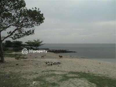 ขาย - ที่ดินชลบุรีสวยหน้าติดถนนสุขุมวิทหลังติดทะเลพร้อมหาดส่วนตัว 46ไร่145ตรว.แถวชายทะเลบางพระ ขาย50ล้าน, ชลบุรี