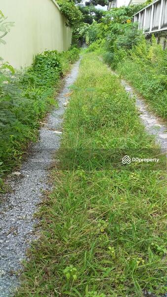 ท่ีดินให้เช่า ซอย อิมทาระ 4 สุทธิสาร (225ตรว), 144 Inthamara Alley, สามเสนใน, พญาไท, กรุงเทพ, 896 ตร.ม., ที่ดิน ให้เช่า, โดย สมมนัส นวลสกุล, 7371005 - DDproperty.com