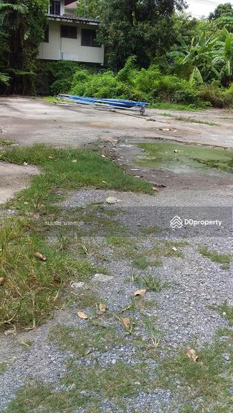 ท่ีดินให้เช่า ซอย อิมทาระ 4 สุทธิสาร (225ตรว), 144 Inthamara Alley, สามเสนใน, พญาไท, กรุงเทพ, 896 ตร.ม., ที่ดิน ให้เช่า, โดย สมมนัส นวลสกุล, 7371005 - DDproperty.com