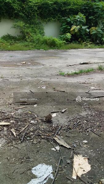 ท่ีดินให้เช่า ซอย อิมทาระ 4 สุทธิสาร (225ตรว), 144 Inthamara Alley, สามเสนใน, พญาไท, กรุงเทพ, 896 ตร.ม., ที่ดิน ให้เช่า, โดย สมมนัส นวลสกุล, 7371005 - DDproperty.com