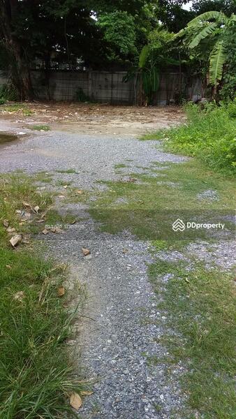 ท่ีดินให้เช่า ซอย อิมทาระ 4 สุทธิสาร (225ตรว), 144 Inthamara Alley, สามเสนใน, พญาไท, กรุงเทพ, 896 ตร.ม., ที่ดิน ให้เช่า, โดย สมมนัส นวลสกุล, 7371005 - DDproperty.com