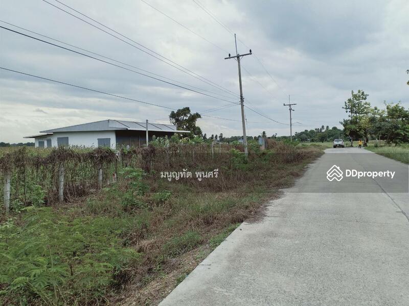 ถนนคอนกรีต กว้าง 6 เมตร ติดหน้าที่ดิน