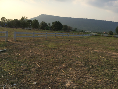 ขาย - ที่ดินวังไทร, นครราชสีมา