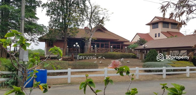 ขาย - ขาย บ้านเดี่ยว ปากช่อง, นครราชสีมา