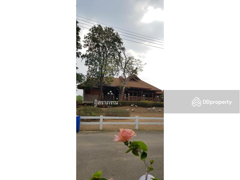 ขาย - ขาย บ้านเดี่ยว ปากช่อง, นครราชสีมา