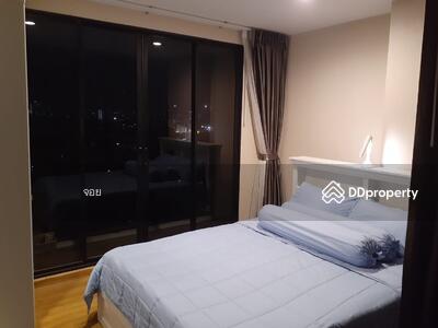 ขาย - The Tree Interchange : เดอะ ทรี อินเตอร์เชนจ์, กรุงเทพ