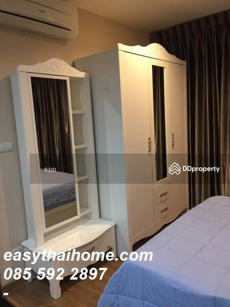 ขาย - The Tree Interchange : เดอะ ทรี อินเตอร์เชนจ์, กรุงเทพ