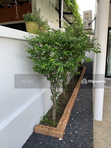 13R0010 This house for rent 3bedroom 2bathroom 18,000/month at paklok (available on August 2024), Phuket, Pa Khlok, Thalang, Phuket, 3 Bedrooms, 100 sqm, Single Detached House For Rent, by PK LIFE Property, 7446742 - DDproperty.com