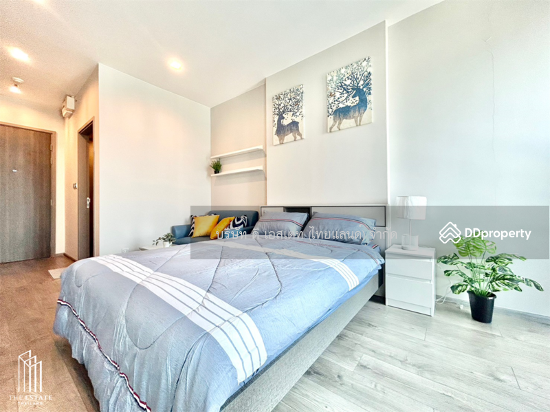 Whizdom Avenue Ratchada-Ladprao : วิสซ์ดอม อเวนิว รัชดา-ลาดพร้าว, กรุงเทพ, ถนนลาดพร้าว, จอมพล, จตุจักร, กรุงเทพ, 28 ตร.ม., คอนโด ให้เช่า, โดย The Estate(Thailand) Limited, 7458097 - DDproperty.com