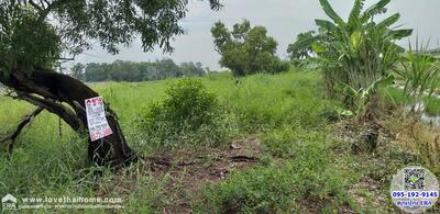 ขาย - ที่ดินเปล่าสวย ถูก!!, ปทุมธานี