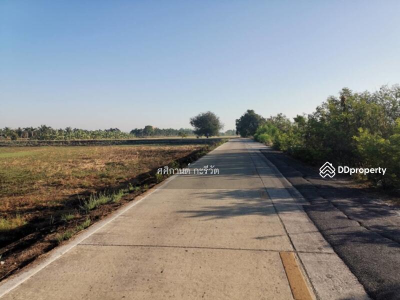 ขาย - ที่ดินเปล่า, นครปฐม