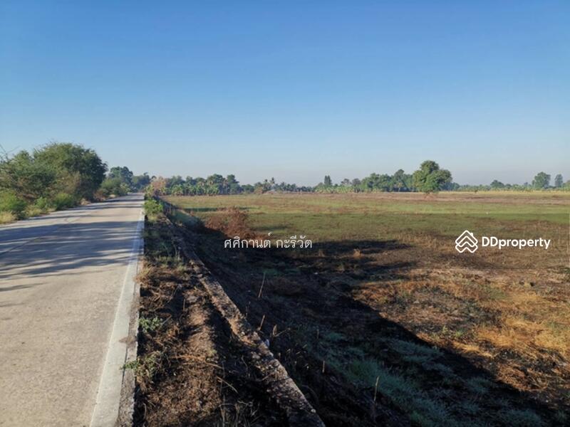 ขาย - ที่ดินเปล่า, นครปฐม