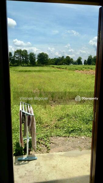 For Rent - เช่าบ้านเดี่ยวชั้นเดียว โชคชัย, Nakhon Ratchasima